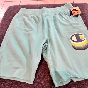 Champion Men's Teal Green Shorts